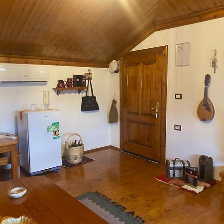Raisa Guesthouse 12 Berat Zewnętrze zdjęcie