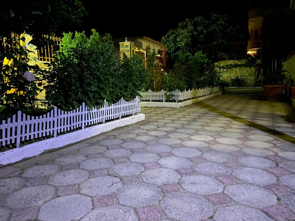 Raisa Guesthouse 12 Berat Zewnętrze zdjęcie