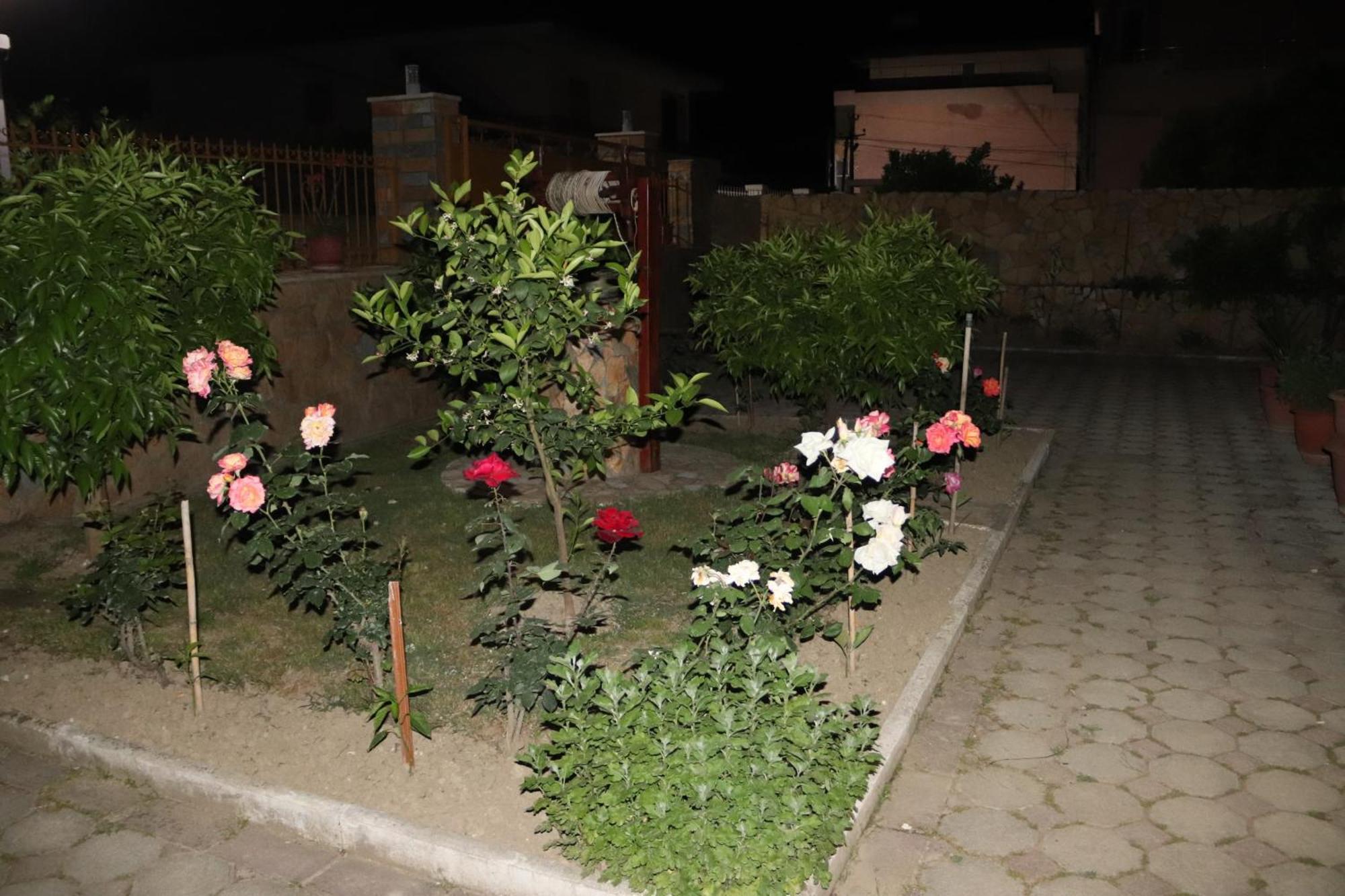 Raisa Guesthouse 12 Berat Zewnętrze zdjęcie
